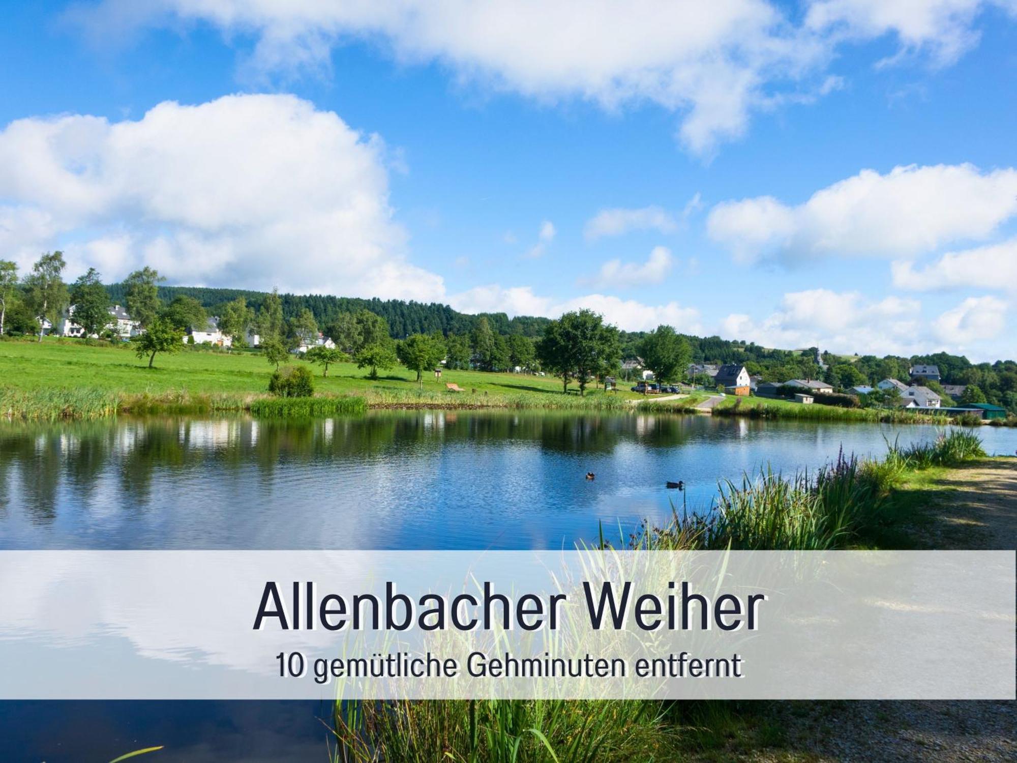 Natur-Chalet Zum Nationalpark Marie-Luise Inkl E-Auto Allenbach Kültér fotó