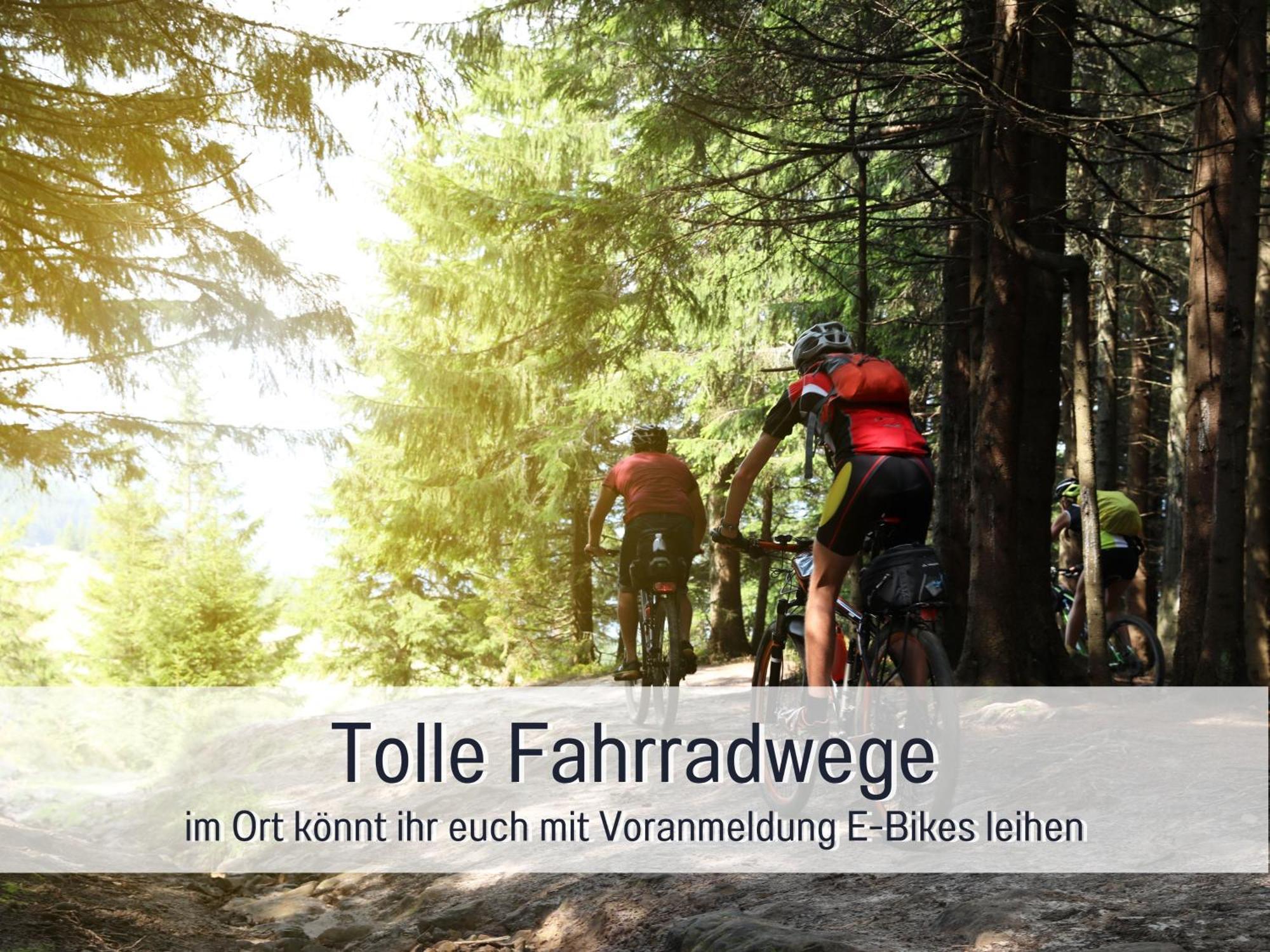 Natur-Chalet Zum Nationalpark Marie-Luise Inkl E-Auto Allenbach Kültér fotó