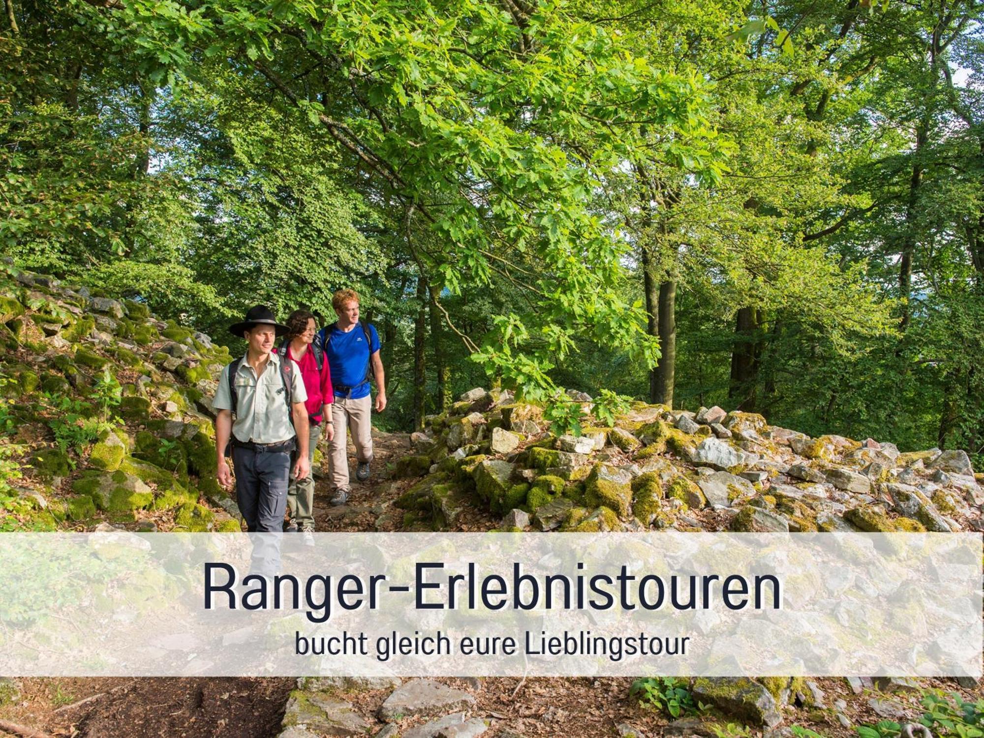 Natur-Chalet Zum Nationalpark Marie-Luise Inkl E-Auto Allenbach Kültér fotó