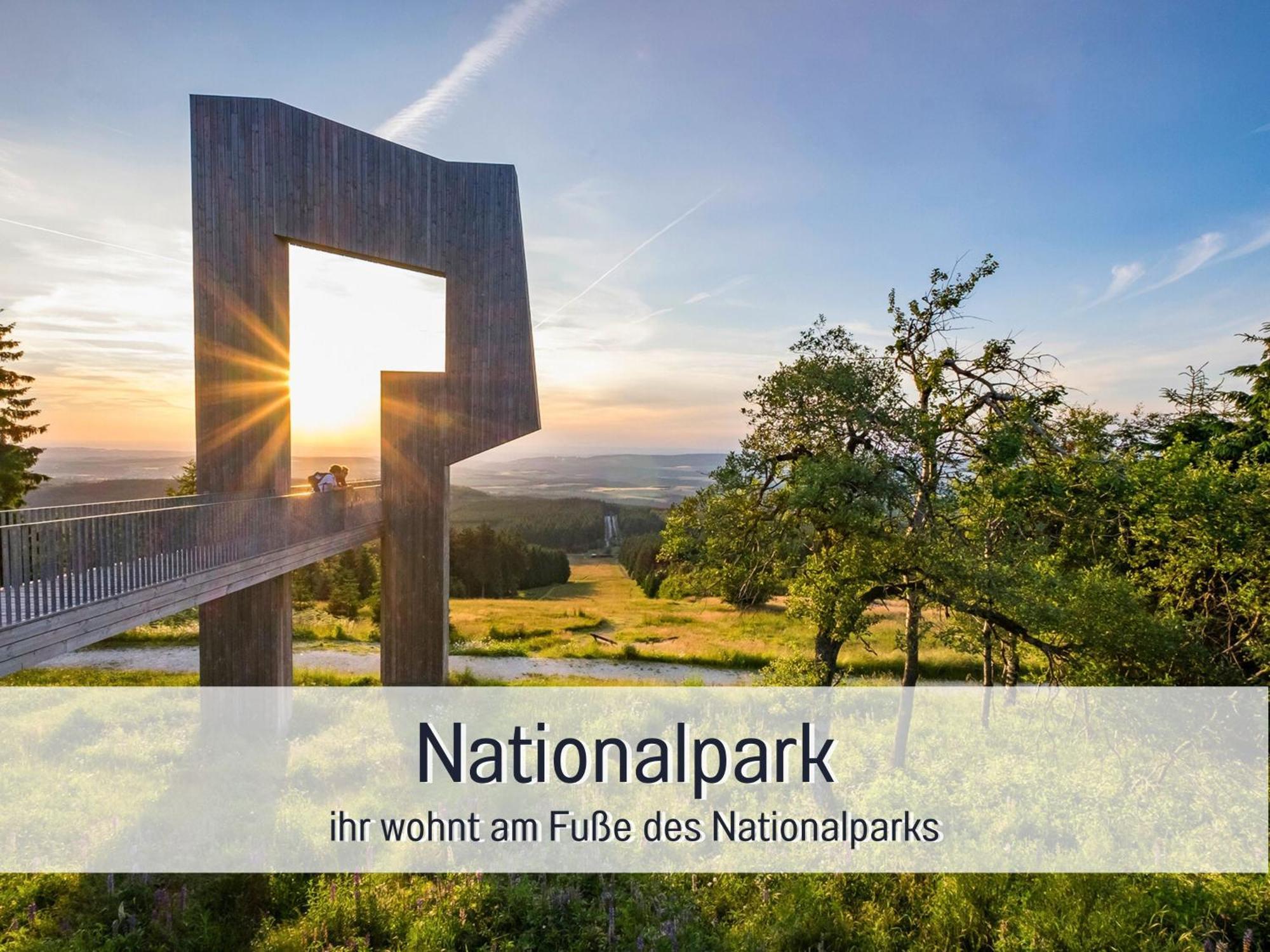 Natur-Chalet Zum Nationalpark Marie-Luise Inkl E-Auto Allenbach Kültér fotó